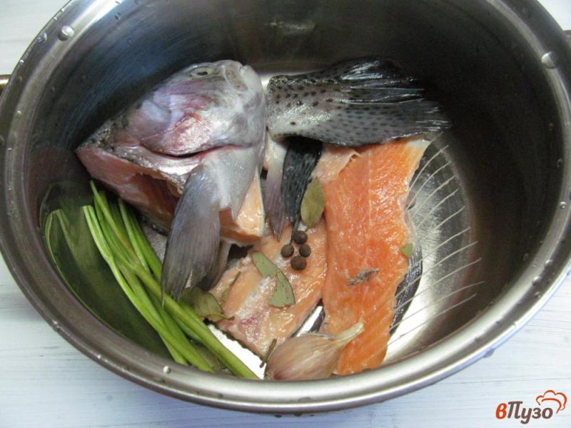 Фото приготовление рецепта: Суп из лосося с хреном и сметаной шаг №1