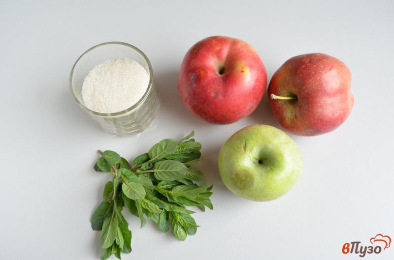 Фото приготовление рецепта: Яблочный компот с мятой шаг №1