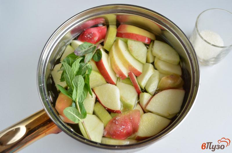 Фото приготовление рецепта: Яблочный компот с мятой шаг №3