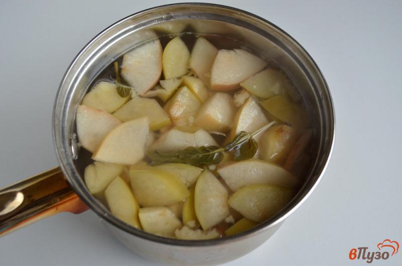 Фото приготовление рецепта: Яблочный компот с мятой шаг №4