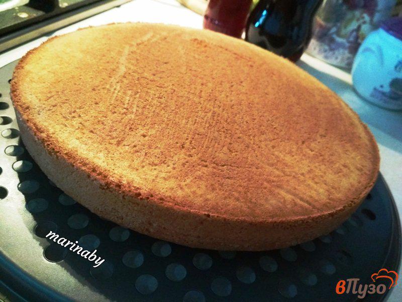 Фото приготовление рецепта: Торт апельсиновый  с кремом Патисьер шаг №5