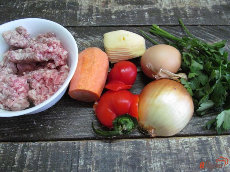 Фото приготовление рецепта: Мясные котлеты с перцем и морковью под сыром шаг №1