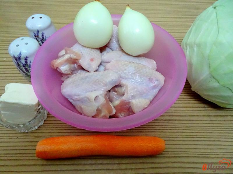 Фото приготовление рецепта: Ленивый ужин из капусты и куриных крыльев шаг №1