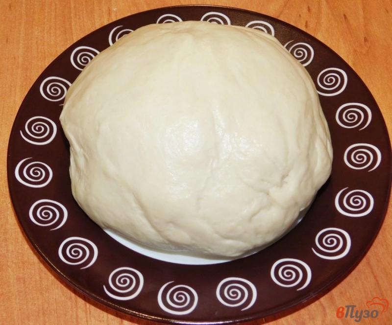 Фото приготовление рецепта: Тесто для пельменей в хлебопечке шаг №4