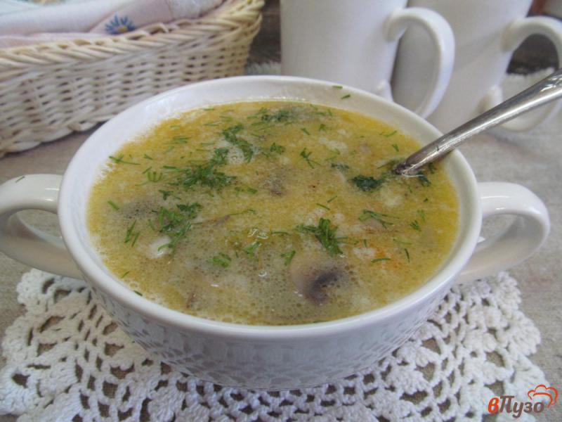 Фото приготовление рецепта: Молочный суп с грибами шаг №9