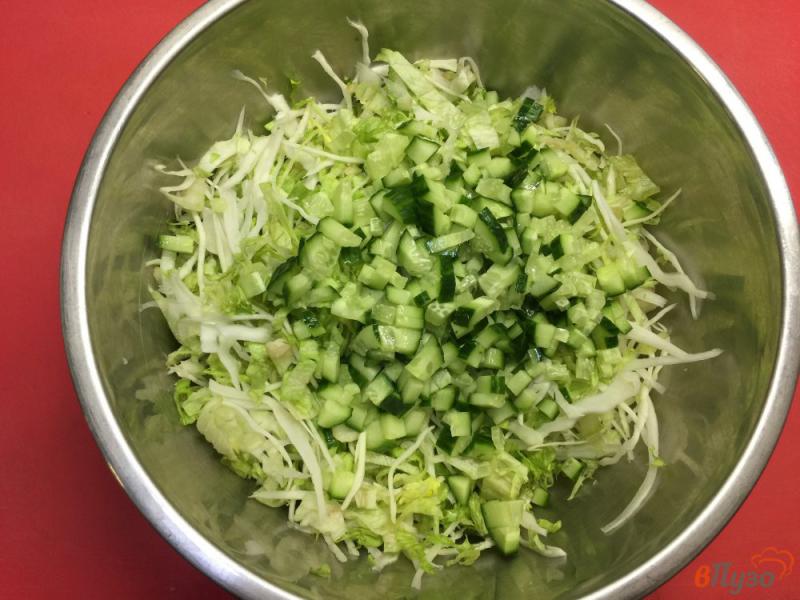 Фото приготовление рецепта: Салат из белокочанной капусты и зелени шаг №2