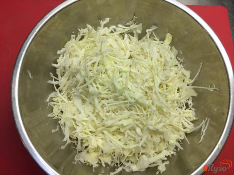 Фото приготовление рецепта: Салат из белокочанной капусты, огурца и моркови шаг №1