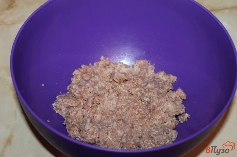 Фото приготовление рецепта: Котлеты из куриного мяса с фасолью шаг №1