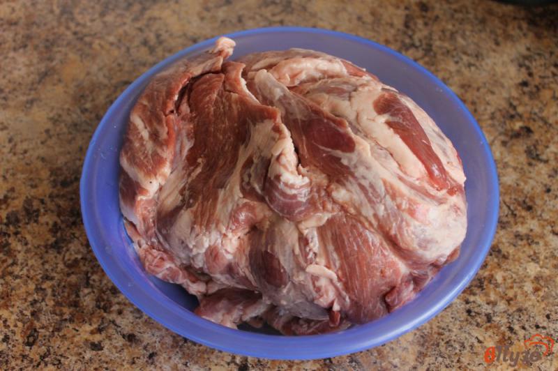 Фото приготовление рецепта: Шашлык из свинины маринованный в горчице шаг №1