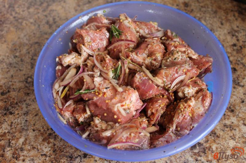 Фото приготовление рецепта: Шашлык из свинины маринованный в горчице шаг №8