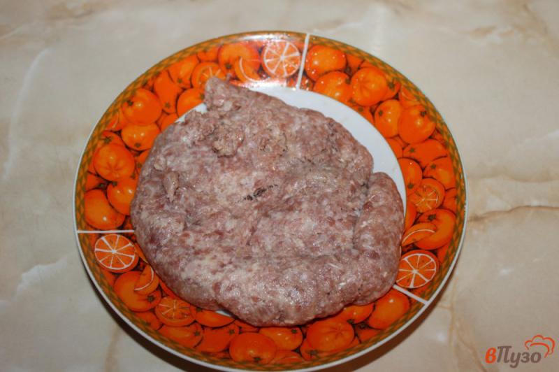 Фото приготовление рецепта: Котлеты из куриного мяса с зеленым луком и сыром шаг №1