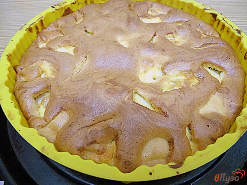 Фото приготовление рецепта: Шарлотка с яблоками, сливами и ежевикой шаг №10