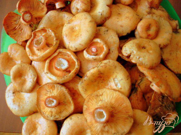 фото рецепта: Засолка грибов рыжиков холодным способом