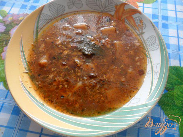 фото рецепта: Украинский суп харчо с грецкими орехами