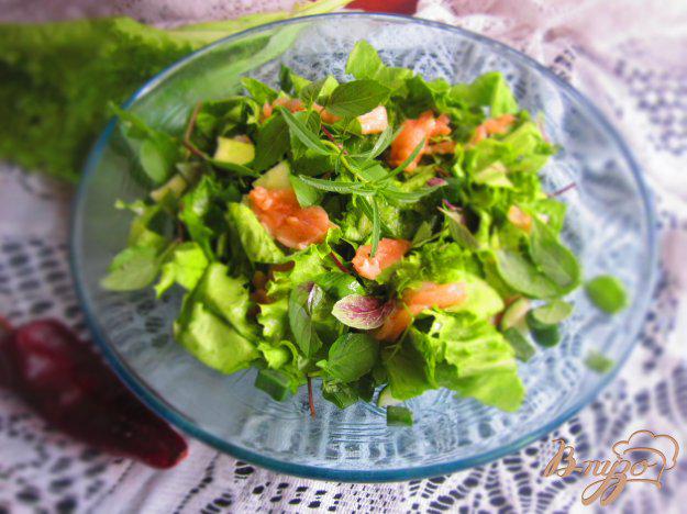 фото рецепта: Салат с семгой и зеленью