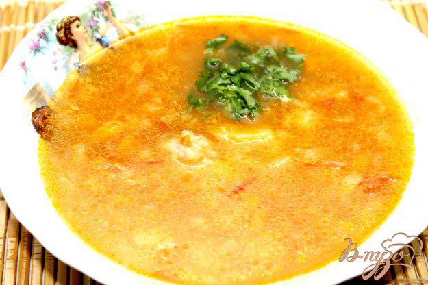 фото рецепта: Куриный суп Харчо в мультиварке