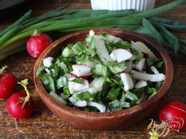 фото рецепта: Овощной салат со щавелем и сельдереем