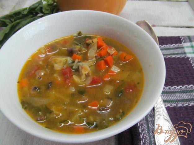 фото рецепта: Овощной суп на курином бульоне в азиатском стиле