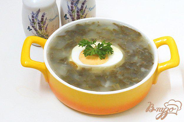 фото рецепта: Щавелевый суп с картофельным пюре м рисом