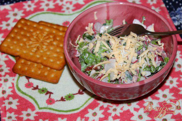 фото рецепта: Салат с редисом, копченой колбасой и зеленью