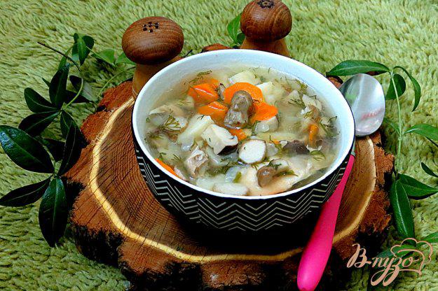 фото рецепта: Суп из белых грибов