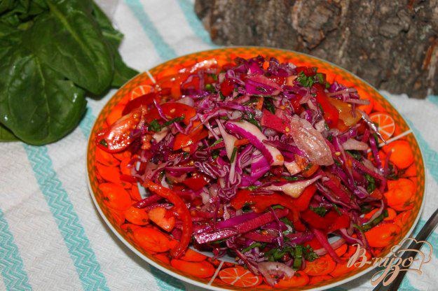 фото рецепта: Салат из краснокочанной капусты с редькой и помидорами
