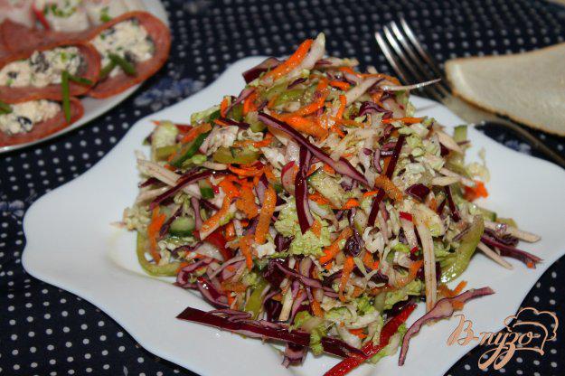 фото рецепта: Салат из пекинской и краснокочанной капусты с сельдереем и огурцом