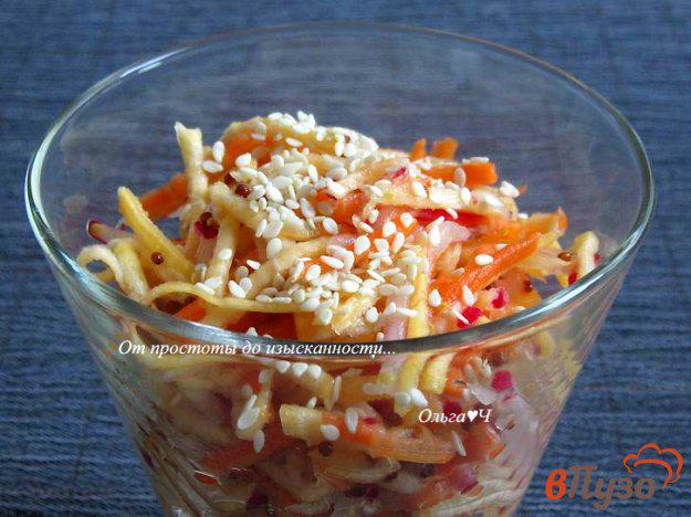 фото рецепта: Салат из репы, моркови и редиса (без масла)