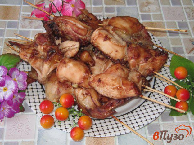 фото рецепта: Куриные шашлыки в духовке в соусе терияки