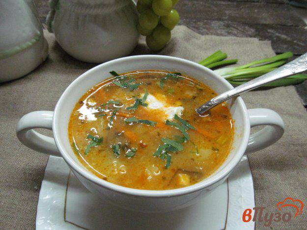 фото рецепта: Суп с солеными огурцами фасолью и кукурузной крупой