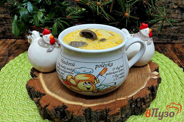 фото рецепта: Суп с солёными маслятими и плавлеными сырками