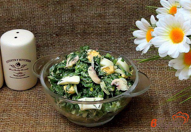 фото рецепта: Салат из весенней зелени
