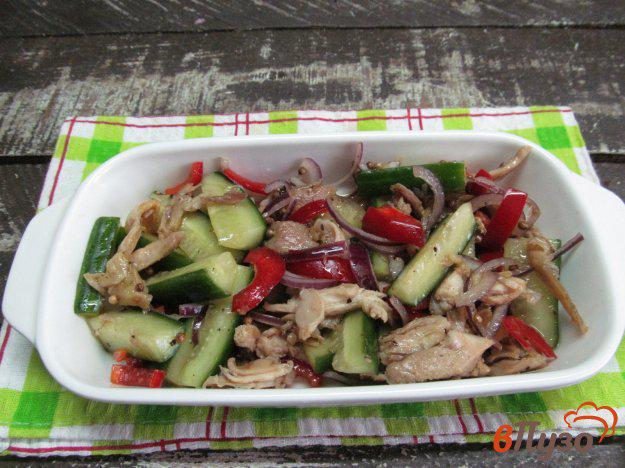 фото рецепта: Салат из огурцом и куриным мясом
