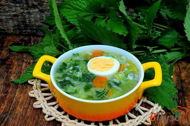 фото рецепта: Зелёный суп с крапивой, капустой и рисом