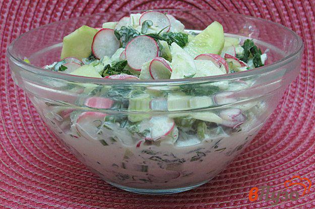 фото рецепта: Салат из огурцов, редиса и крапивы
