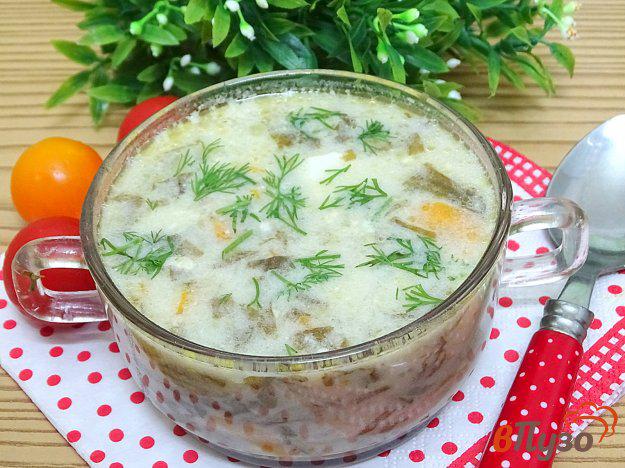 фото рецепта: Суп со щавелем и капустой