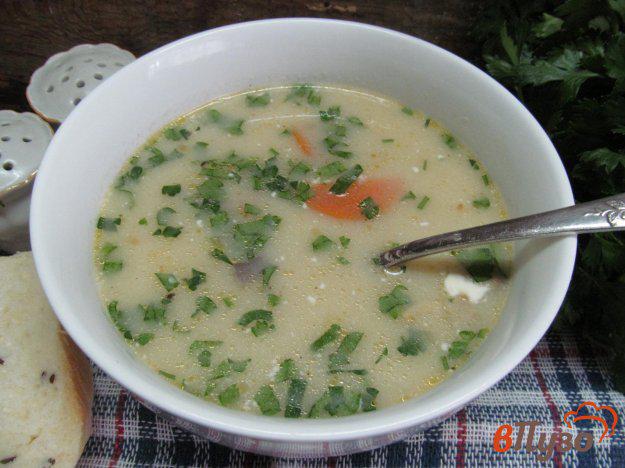 фото рецепта: Суп с шампиньоном и горчичным соусом