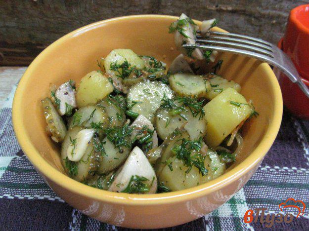 фото рецепта: Салат с маринованными шампиньонами и огурцами