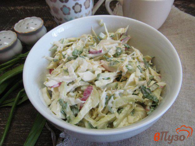 фото рецепта: Салат из капусты с редисом
