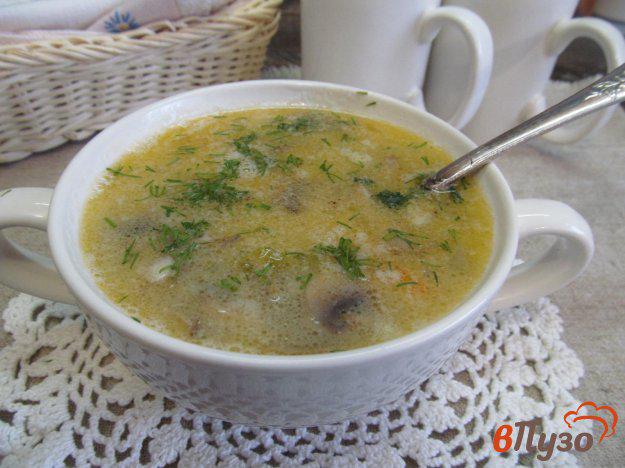 фото рецепта: Молочный суп с грибами