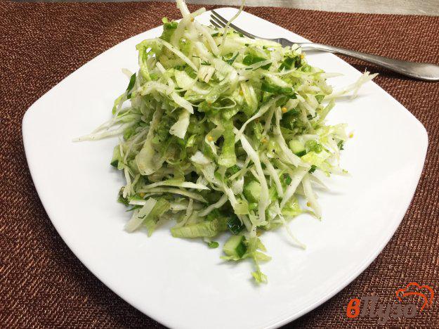 фото рецепта: Салат из белокочанной капусты и зелени