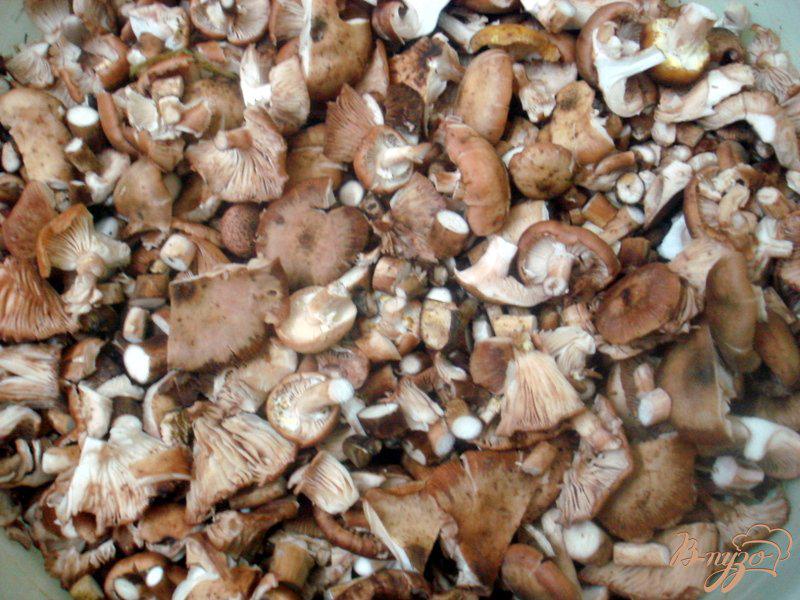 Фото приготовление рецепта: Заморозка грибов на зиму шаг №1