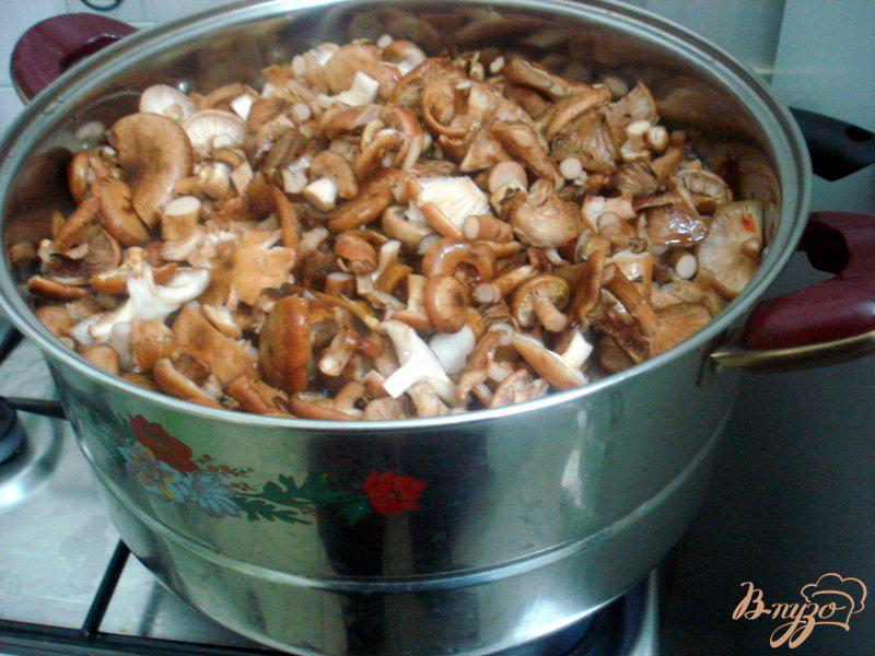 Фото приготовление рецепта: Заморозка грибов на зиму шаг №3