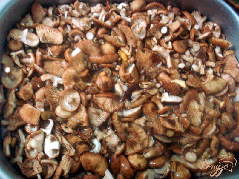 Фото приготовление рецепта: Заморозка грибов на зиму шаг №2