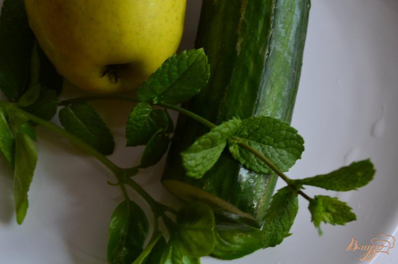 Фото приготовление рецепта: Огуречно-яблочный гаспачо с мятой шаг №1