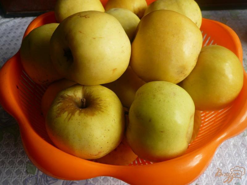 Фото приготовление рецепта: Моченые яблоки шаг №1