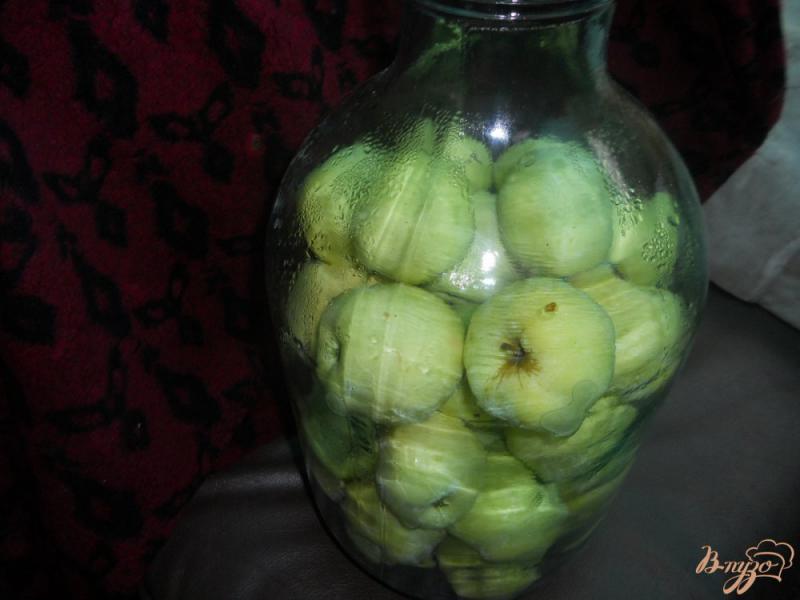 Фото приготовление рецепта: Моченые яблоки шаг №3