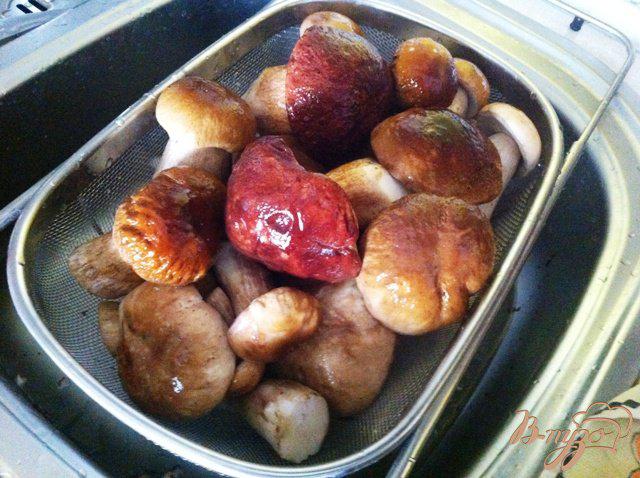 Фото приготовление рецепта: Заготовка грибов на зиму шаг №1