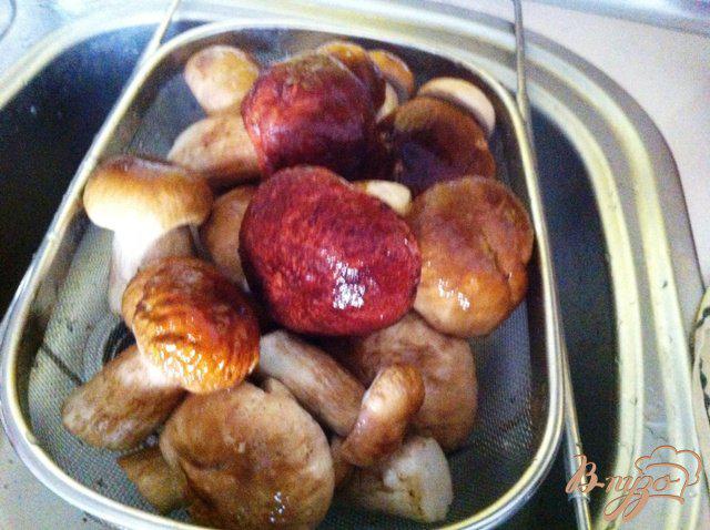 Фото приготовление рецепта: Фрикасе из куриного филе с лесными грибами шаг №1