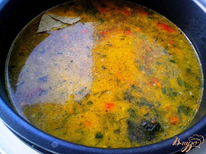 Фото приготовление рецепта: Суп с индюшиными фрикадельками в мультиварке-скороварке шаг №6